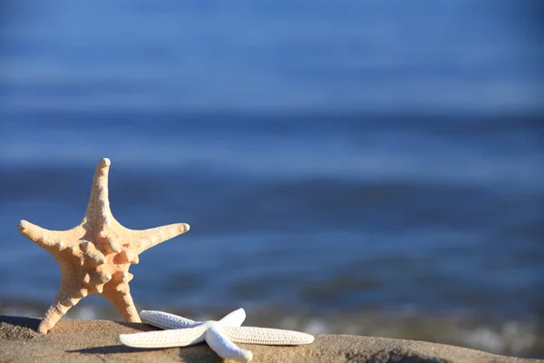 Starfish on beach at ocean background — Stock Photo, Image