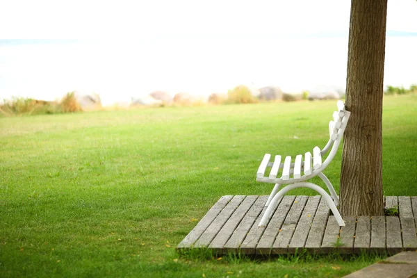 Träbänk på en park — Stockfoto