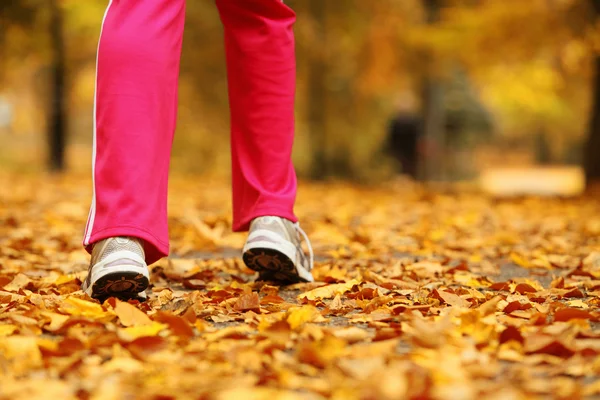 Patas de corredor zapatillas de correr. Mujer corriendo en el parque de otoño —  Fotos de Stock