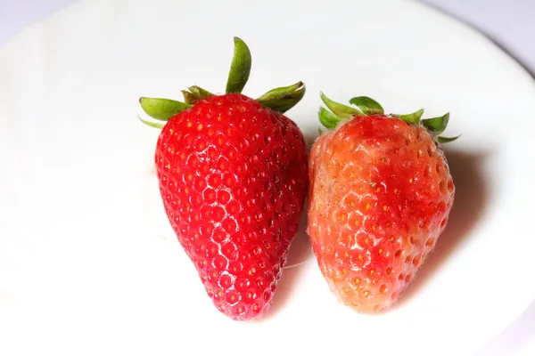 Healthy and rotten spoiled bad red strawberries — Stock Photo, Image