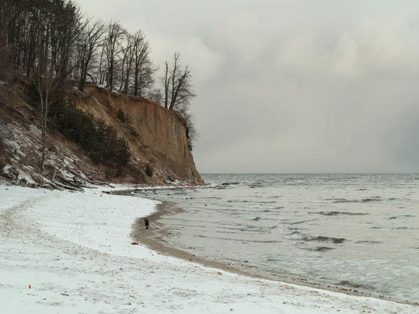 Morze Bałtyckie Gdynia, klif w Orłowo Polska. Zimowa sceneria — Zdjęcie stockowe