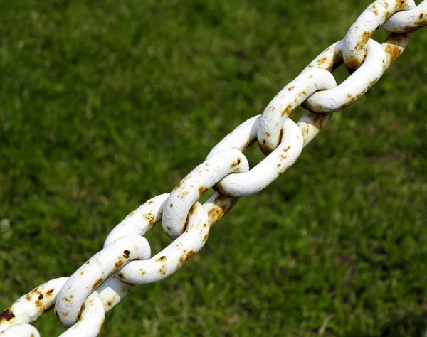 Steel metal chain links segment green background — Stock Photo, Image
