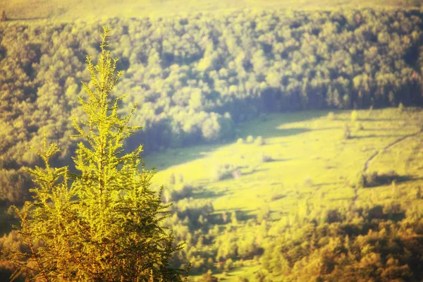 Mountains hills landscape Bieszczady Poland — Stock Photo, Image