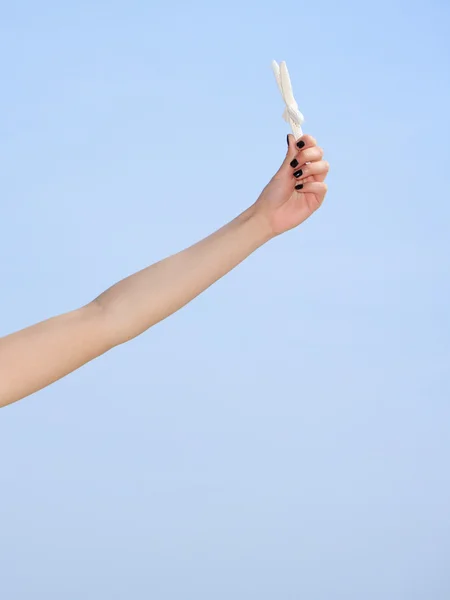 Hand with shell on sky background — Stock Photo, Image