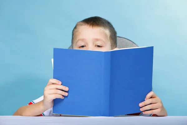 Ребенок читает книгу о голубом — стоковое фото