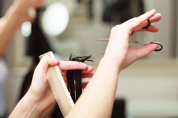 Hairstylist cutting hair woman client in hairdressing beauty salon — Stock Photo, Image