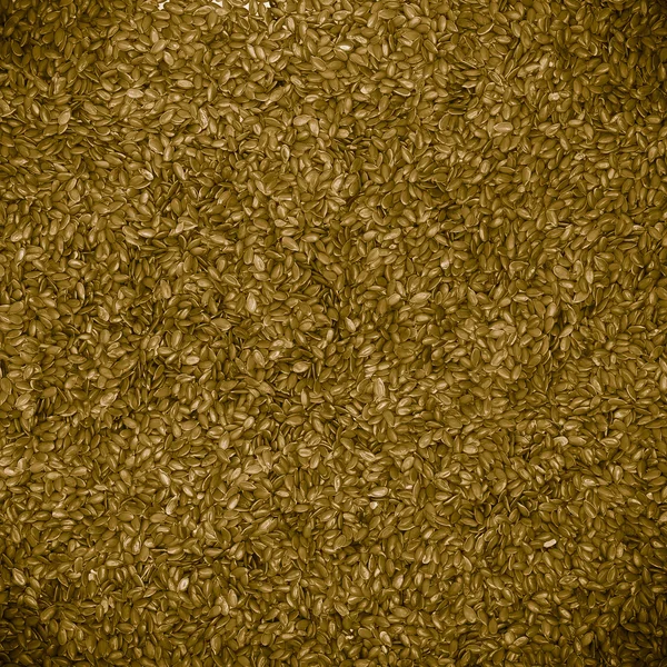 Close up flaxseed linseed brown food background texture — Stock Photo, Image