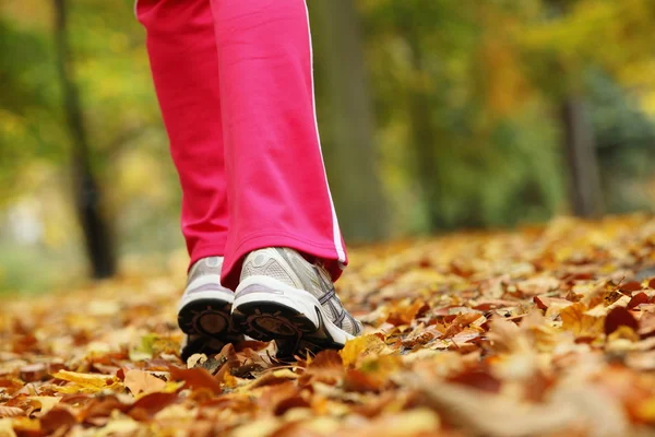 Gambe da corridore scarpe da corsa. Donna che corre nel parco autunnale — Foto Stock