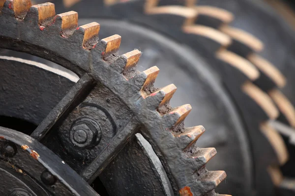 Steel cog wheels metal gears mechanical ratchets — Stock Photo, Image