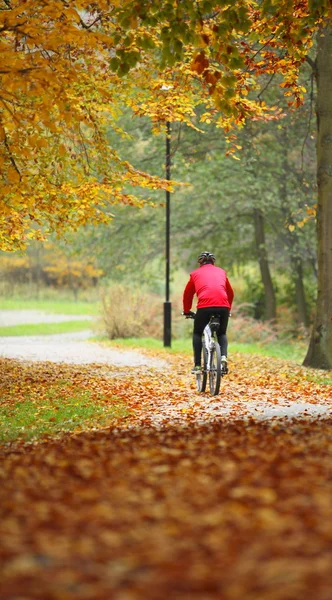 Kolarstwo na zewnątrz człowiek na rower, złota jesień w parku — Zdjęcie stockowe