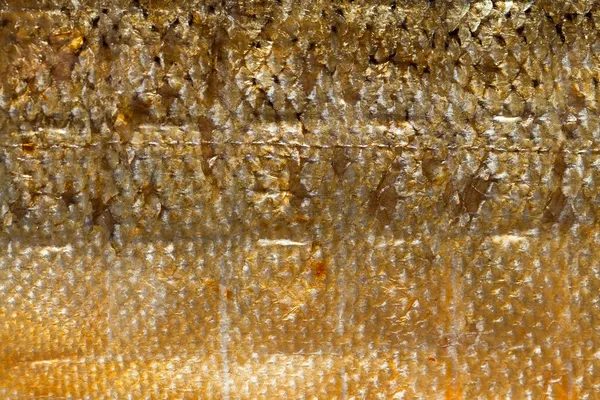 Closeup shiny scales salmon fish as food animal background texture — Stock Photo, Image