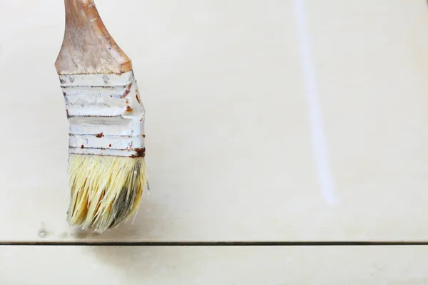 Thuis renovatie borstel primer specie van tegels resistent — Stockfoto