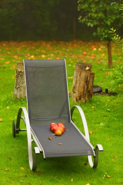 庭で椅子に秋の赤いリンゴ — ストック写真
