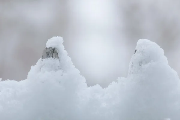 Vieille clôture en bois blanc recouverte de neige. Spécifique saisonnier hiver . — Photo