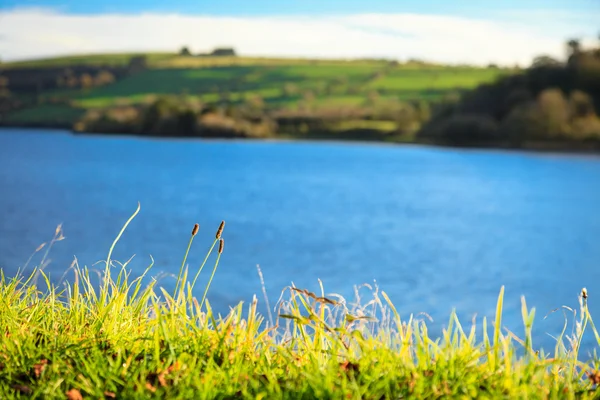 Bela paisagem irlandesa prados verdes no rio Co.Cork, Irlanda . — Fotografia de Stock