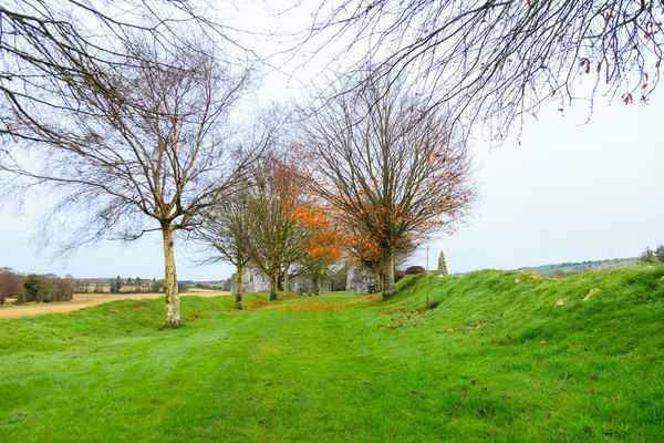 KILCREA, IRLANDA - 28 NOVEMBRE: Kilcrea Friary il 28 novembre 2012 a Co.Cork, Irlanda — Foto Stock