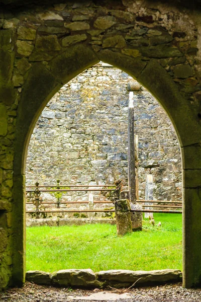 2012 年 11 月 28 日アイルランドでの kilcrea 修道院 — ストック写真
