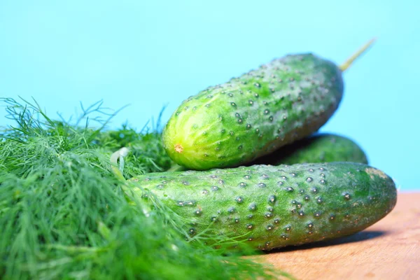 Bunch fresh dill and cucumbers on wooden table — Stock Photo, Image