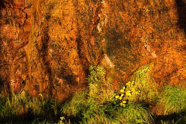 Sfondo arancio bagnato pietra roccia parete texture e verde erba all'aperto — Foto Stock