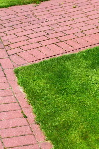 Chemin en pierre dans le jardin, trottoir en brique — Photo