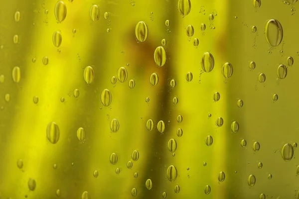 비누 거품 녹색 액체 배경 — 스톡 사진
