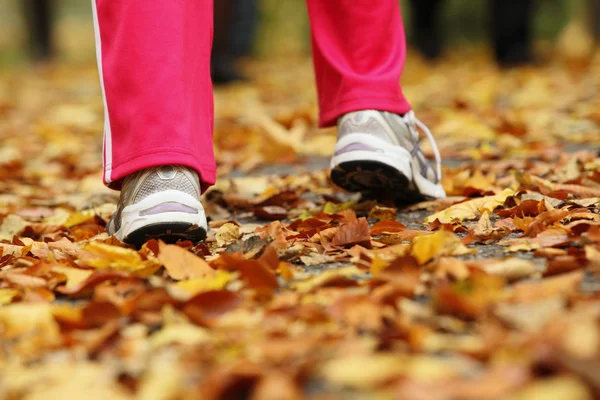 Patas de corredor zapatillas de correr. Mujer corriendo en el parque de otoño — Foto de Stock