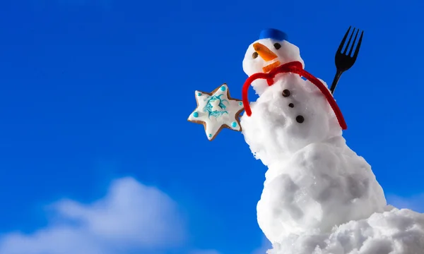 Pequeño muñeco de nieve feliz Navidad con estrella de galletas al aire libre. temporada de invierno . —  Fotos de Stock