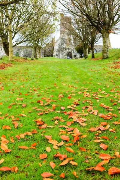 KILCREA, IRLANDA - NOVEMBRO 28: Kilcrea Friary em 28 de novembro de 2012 em Co.Cork, Irlanda — Fotografia de Stock