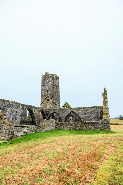 Monasterio kilcrea —  Fotos de Stock