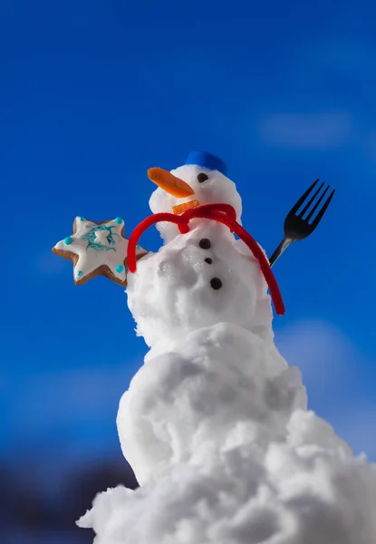 Маленький счастливый рождественский снеговик со звездой печенья на открытом воздухе. зимний сезон . — стоковое фото