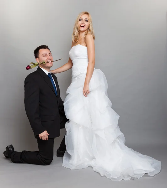 Romantisch getrouwd paar bruid en bruidegom met roos — Stockfoto