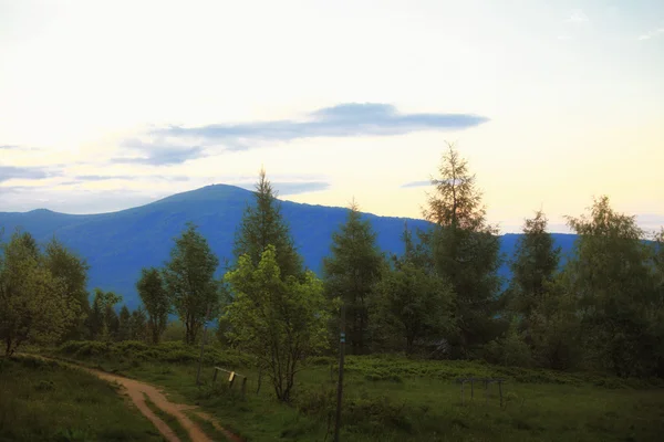 Montagnes collines paysage Bieszczady Pologne — Photo