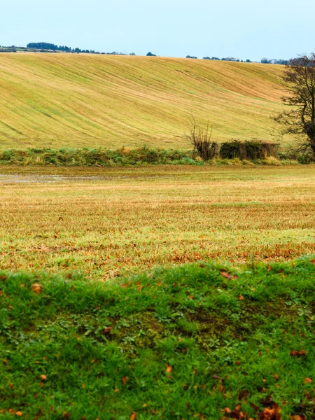 Beautiful irish autumnal landscape fields scenery in Co.Cork, Ireland. — Stock Photo, Image