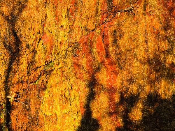 Pozadí pomeranč vlhké kamenné zdi textury venkovní — Stock fotografie