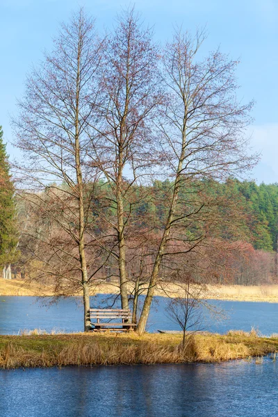 Ahşap Bank ve nehir banka veya lake shore açık ağaçta tek. sonbahar sakin manzara. — Stok fotoğraf