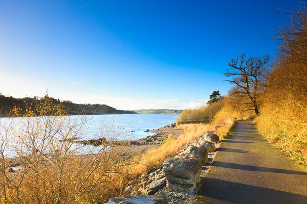 Beautiful landscape. Autumn pathway at the river Co.Cork, Ireland. — Stock Photo, Image