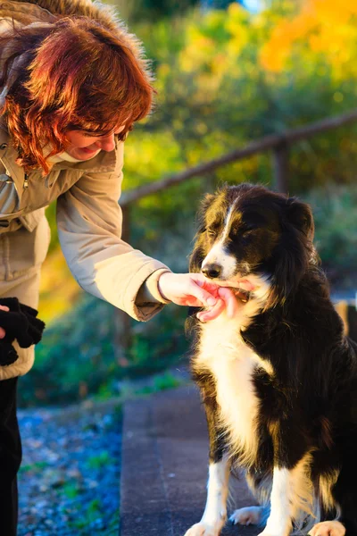 Kvinna leker med hennes hund utomhus — Stockfoto