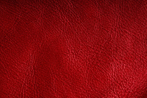 Red textured leather grunge background closeup — Stock Photo, Image