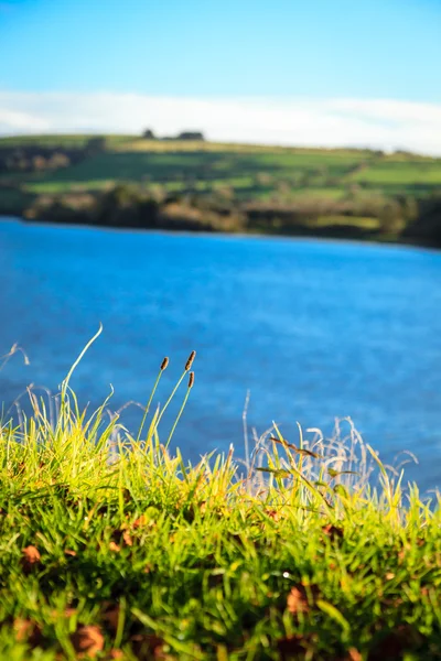 Hermoso paisaje irlandés verdes prados en el río Co.Cork, Irlanda . —  Fotos de Stock