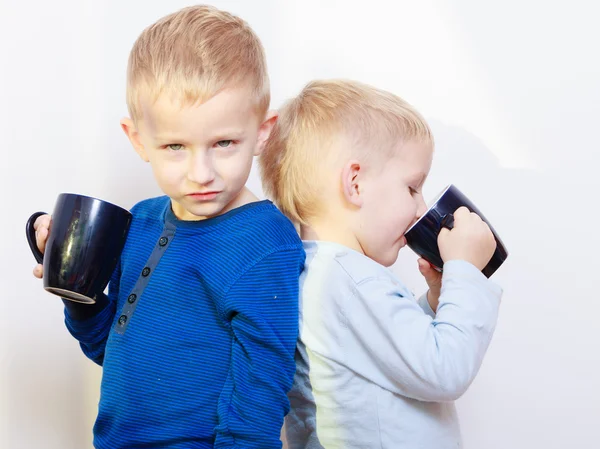 幸せな子供時代。2 人の兄弟の少年がお茶を飲む — ストック写真