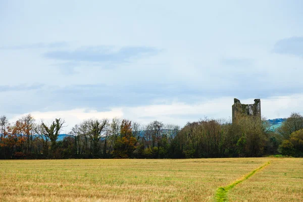 Kilcrea slott – stockfoto