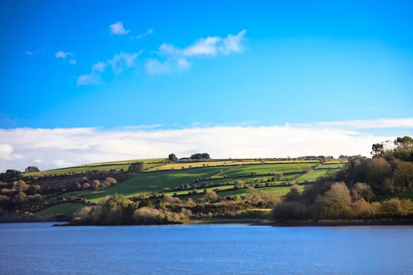 Irlandzki piękny krajobraz zielonych łąk w rzece co.cork, Irlandia. — Zdjęcie stockowe