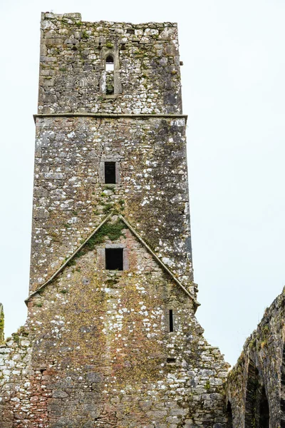 KILCREA, IRLANDA - NOVEMBRO 28: Kilcrea Friary em 28 de novembro de 2012 em Co.Cork, Irlanda — Fotografia de Stock