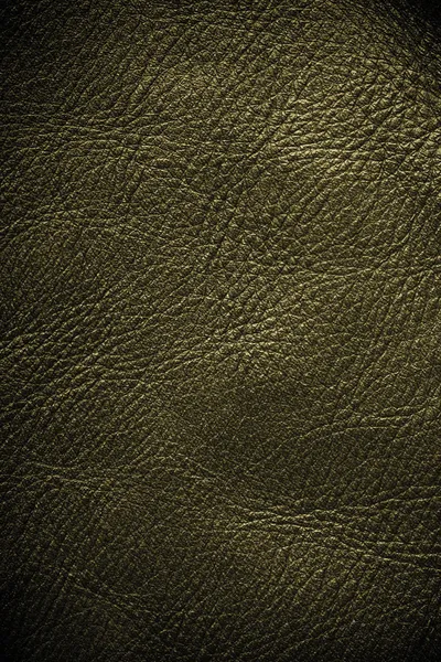 Brown textured leather grunge background closeup — Stock Photo, Image