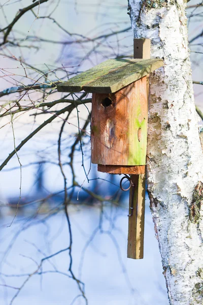 Açık ağaç ahşap iç içe kutu kuş evi. Kış. — Stok fotoğraf