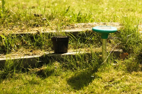 草坪洒水器。灌溉系统. — 图库照片
