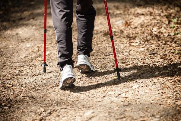 Frauenbeine wandern im Wald oder Park. — Stockfoto