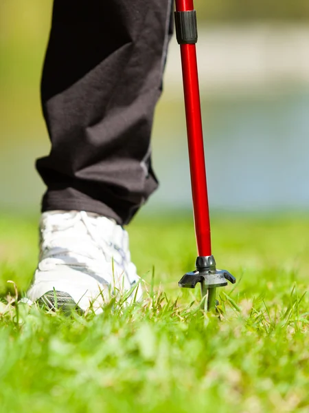 Kvinnliga ben vandring i parken. — Stockfoto