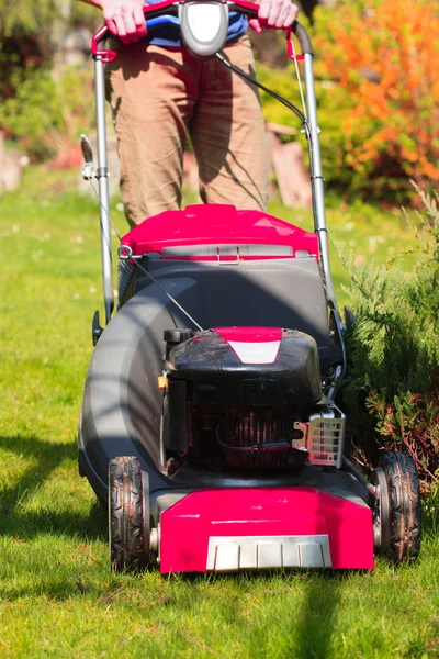 Maaien van groene gazon met rode grasmaaier — Stockfoto