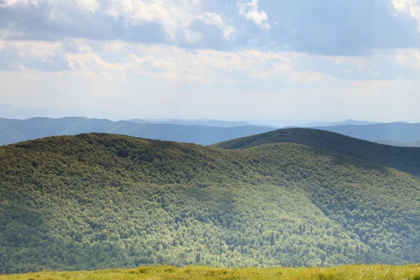 La natura. Paesaggio verde di montagna in estate — Foto Stock